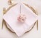 Set of 12 Light Pink Cotton Cloth Napkins, 17×17 in, Soft & Washable